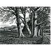 Clearbury Ring From Homington Down by Howard Phipps