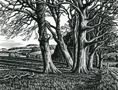 Clearbury Ring From Homington Down by Howard Phipps