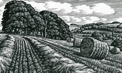 Homington Down by Howard Phipps