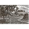 Wittenham Clumps by Howard Phipps