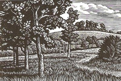 Wittenham Clumps by Howard Phipps