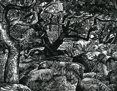 Wistman's Wood by Howard Phipps