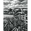 Summer Fields, The Ebble Valley by Howard Phipps