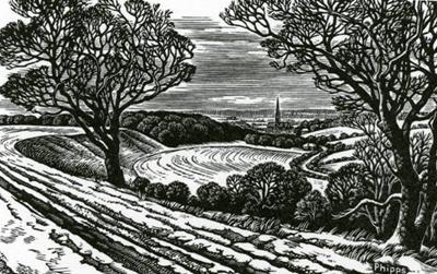 Salisbury From Clarendon In Winter by Howard Phipps