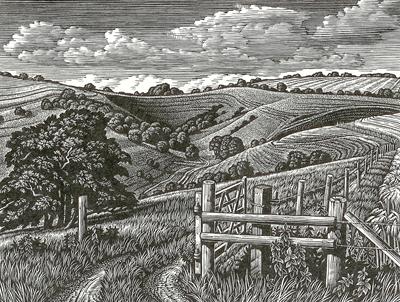 Malacombe Bottom by Howard Phipps