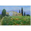 Farmhouse & Wildflowers, Les Tourettes, Provence by Marcel Gatteaux