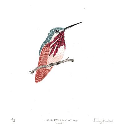 Calliope Hummingbird by Fanny Shorter