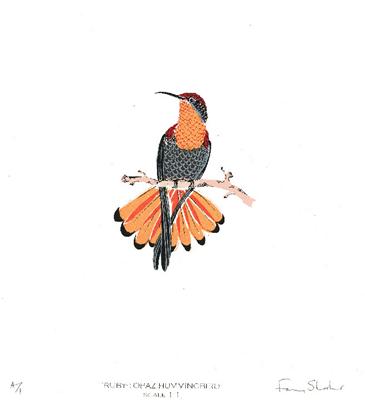 Ruby-Topaz Hummingbird by Fanny Shorter