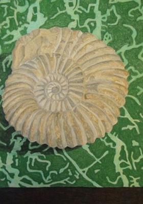 Ammonite by Aaron Kasmin