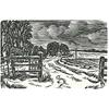 The Avenue, Odstock, In Winter by Howard Phipps