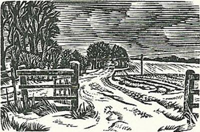 The Avenue, Odstock, In Winter by Howard Phipps