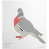 Common Wood Pigeon by Fanny Shorter