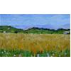 Cornfield, Crillon-Le-Brave, Provence by Marcel Gatteaux