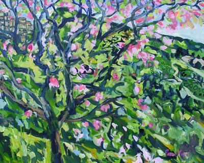 Magnolia, Montefalcone by Paul Finn
