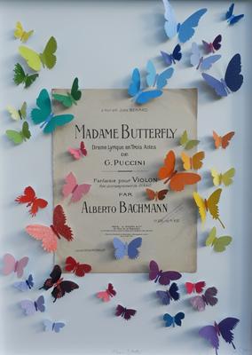Madam Butterfly by Joseph Silcott