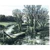 River Ebble At Fifield Bavant by Howard Phipps