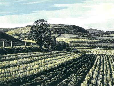 Winter Stubble Fields, Winkelbury Hillfort by Howard Phipps