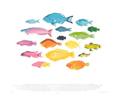 Spectrum Fish by Fanny Shorter