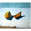 Lemon Wedges & Shadows by Susan Ashworth