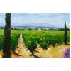 Vines, Chateauneuf-de-Papes, Provence by Marcel Gatteaux