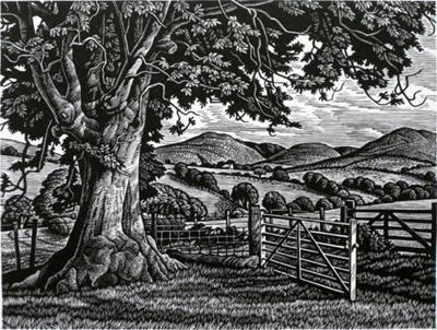 Wayside Ash Tree by Howard Phipps