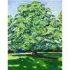 Horse Chestnut, Jesus Green, Cambridge by Paul Finn