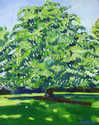 Horse Chestnut, Jesus Green, Cambridge by Paul Finn