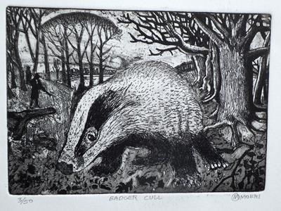 Badger Cull by Maurice Moeri