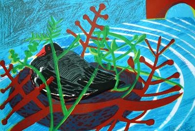 The Moorhen's Nest by Kittie Jones