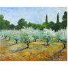 Olive Grove, Mazan, Provence by Marcel Gatteaux