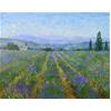 Wildflowers & Lavender, Saint-Christol, Provence by Marcel Gatteaux