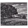 Clearbury Ring From Tower House Meadow by Howard Phipps