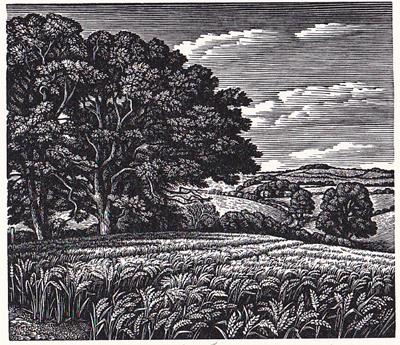 Clearbury Ring From Tower House Meadow by Howard Phipps