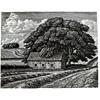 Field Barn Near Dovedale by Howard Phipps