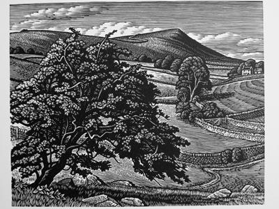 Wetton Hill by Howard Phipps