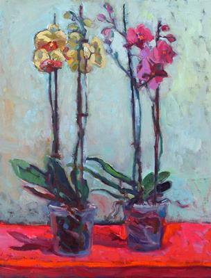 Orchids by Isobel Johnstone
