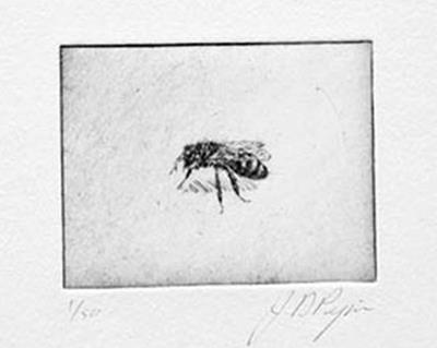 Honey Bee by John Douglas Piper