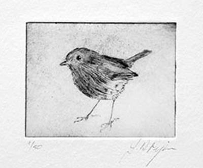 Robin by John Douglas Piper