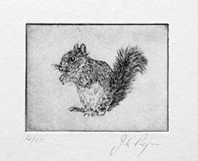Squirrel by John Douglas Piper