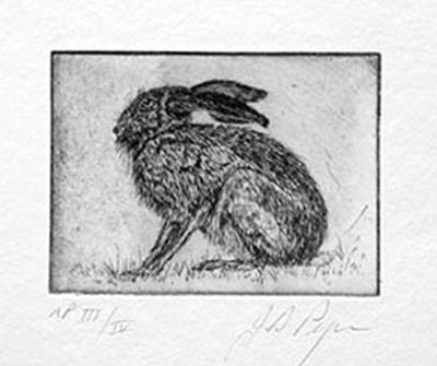 Hare by John Douglas Piper