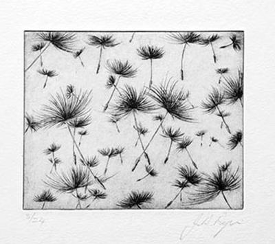 Dandelions by John Douglas Piper
