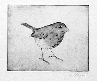 Robin by John Douglas Piper