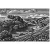 Lynchets, Coombe Bissett Down by Howard Phipps