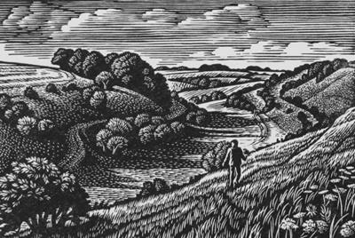 Lynchets, Coombe Bissett Down by Howard Phipps