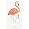 Flamingo by Beatrice Forshall