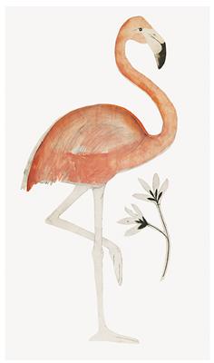 Flamingo by Beatrice Forshall