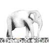 Indian Elephant by Beatrice Forshall
