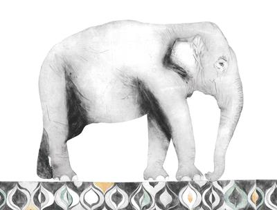 Indian Elephant by Beatrice Forshall