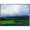 Wet Fields, Broomhill by Robert Newton