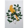 Golden Parakeet by Fanny Shorter